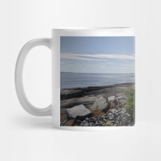 850_4723 Mug